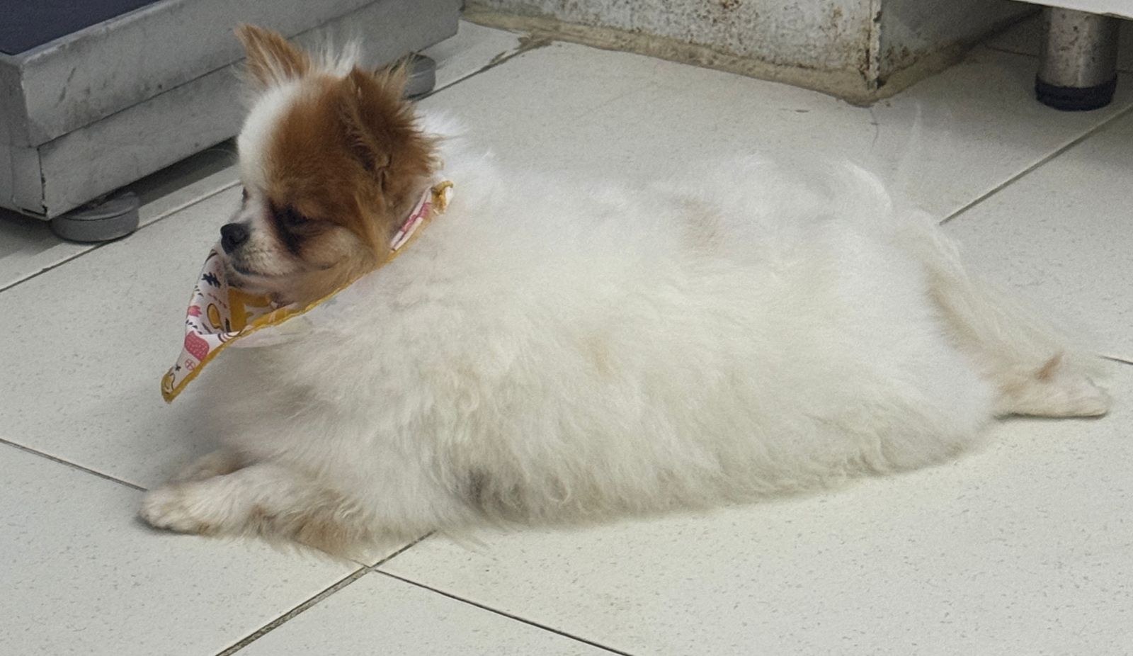 WhatsApp Image 2025 04 01 at 16.02.45