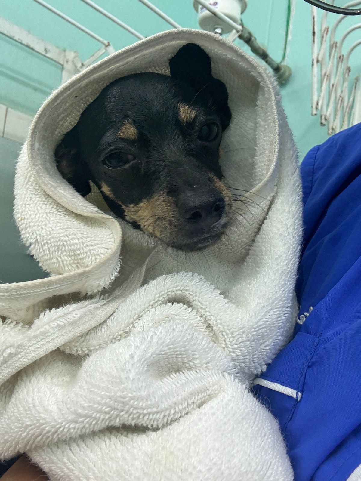 WhatsApp Image 2025 04 13 at 09.03.29