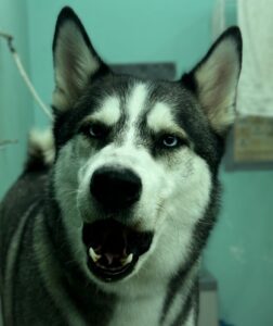 WhatsApp Image 2025 04 16 at 12.49.22