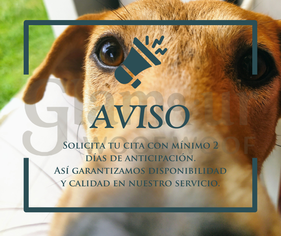 Aviso Glamour Woof Woof